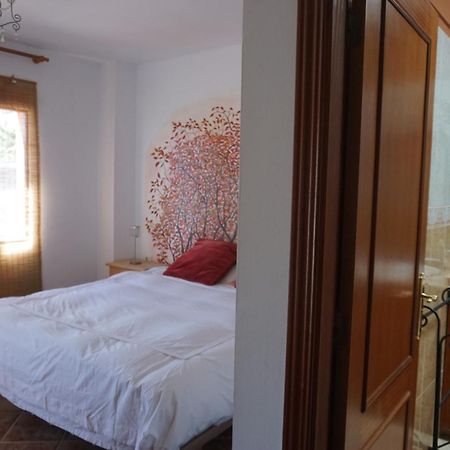 Casa Colores Tenerife Guesthouse カンデラリア エクステリア 写真