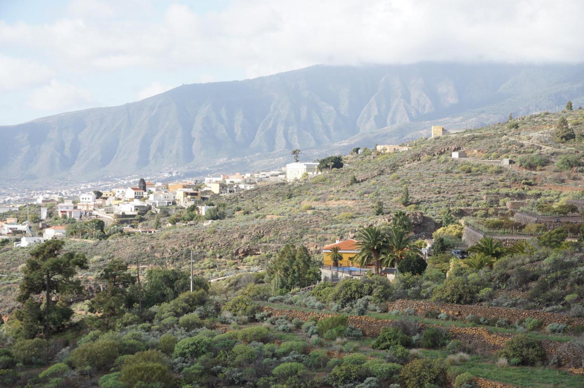 Casa Colores Tenerife Guesthouse カンデラリア エクステリア 写真